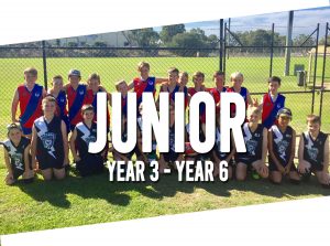 Junior